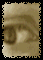 Oeil droit