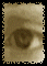 Oeil gauche